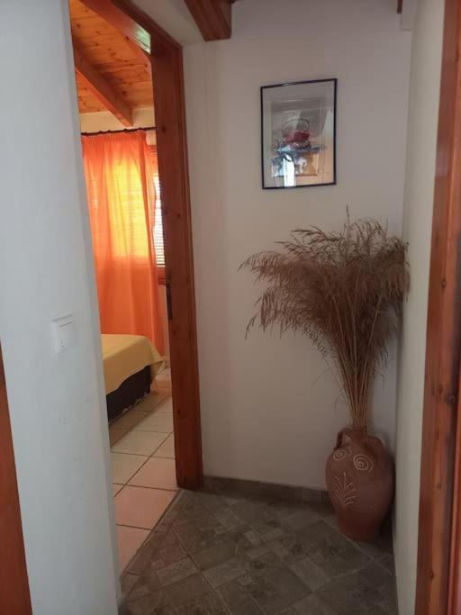 Δίχωρο Στούντιο Στον Κέντρο Του Αρμενιστή Appartement Armenistis  Buitenkant foto